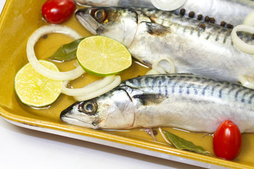 maquereaux au vin blanc