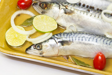 maquereaux au vin blanc