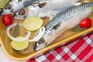 maquereaux au vin blanc
