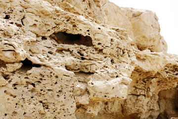 Pores visible in the outcrops of weathered limestone rock