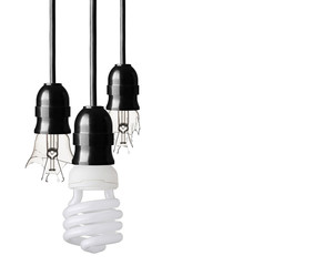 Eco concept with energy saver bulb