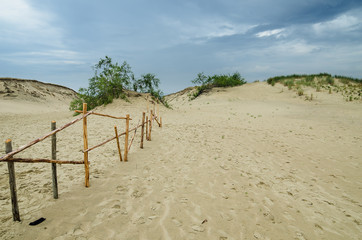 Dead Dunes in Neringa, Lithuania. UNESCO World Heritage Site