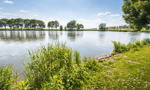 At the banks of a Dutch pond in spring
