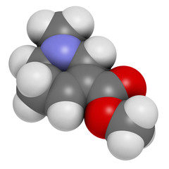 Arecoline areca nut stimulant compound, chemical structure.