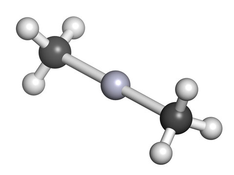 Dimethylmercury  (organomercury Compound), Chemical Structure.