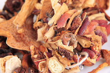 Dried mushrooms background