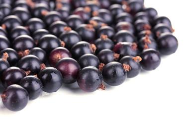 Fresh black currant isolated on white