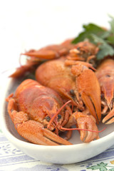 Crayfish crab crawfish red on a platter