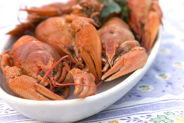 Crayfish crab crawfish red on a platter