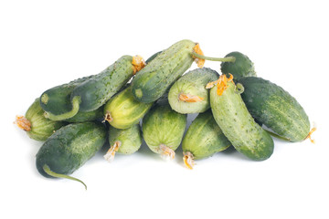 Fresh green cucumber with flowers isolated on white background