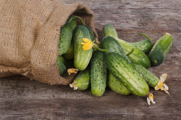 Fresh cucumbers spill out of the bag on an old wooden table