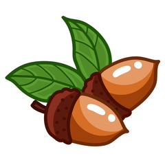acorn isolated illustration
