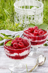 Raspberry dessert