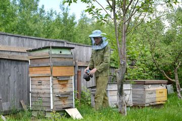 The young beekeeper with dymary on an apiary