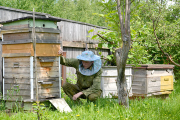 The young beekeeper sits about a beehive