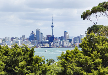 Auckland - obrazy, fototapety, plakaty