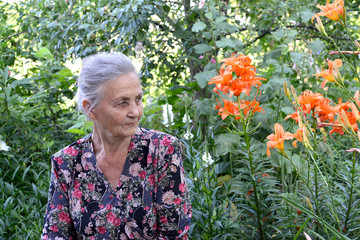 Portrait of the elderly woman in a garden
