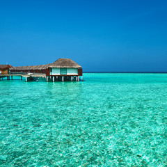 Beautiful beach with water bungalows