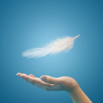 Easy feather in the air on the palm