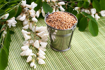 ripe harvest lies in a metal bucket