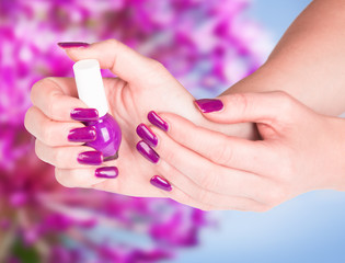 Fototapeta premium Beautiful woman Hands.Manicure concept