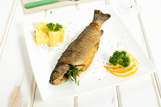 pesce trota fritta su piatto ceramica bianco