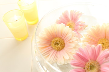 gerbera and aroma candle
