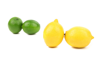 Ripe lime and lemon.