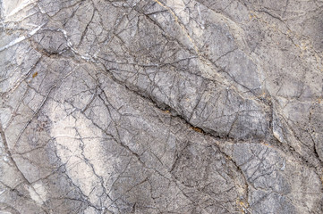 Stone Texture