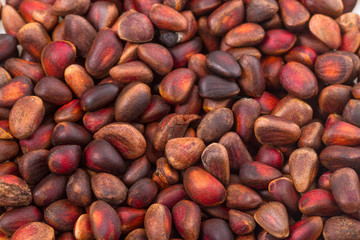 Background of pine nuts