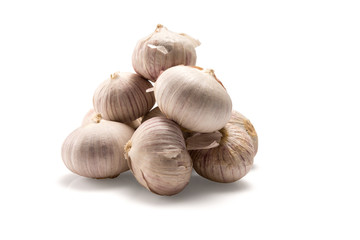 Garlic over a white background