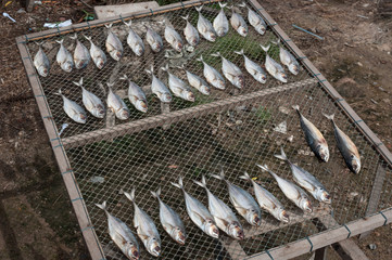 Dried fish