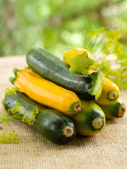 Fresh zucchini
