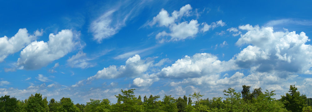 Panoramabild mit Wald und Wolkenhimmel