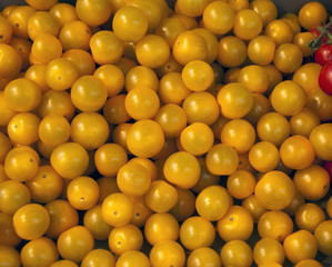 Yellow cherry tomatoes