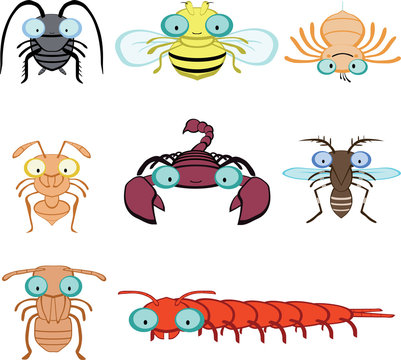 graphic insects and arthropod include, fly, spider, ant