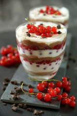 Cremedessert mit Johannisbeeren und Schokolade