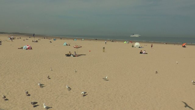un &eacute;t&eacute; sur la plage