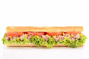 sandwich isolated
