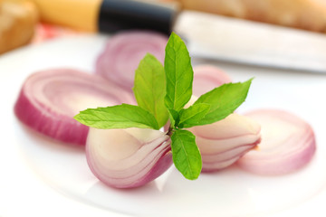 Obraz na płótnie Canvas Sliced onion with mint leaves
