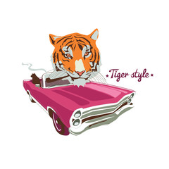 Smoking tiger portret in retro car
