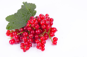 fresh berries isolated on white