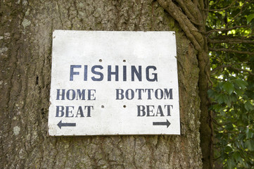 Fishing sign nailed to a tree