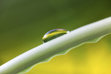 Water Drop with multi-colored Reflection