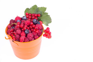 fresh fruits in bucket isolated on white