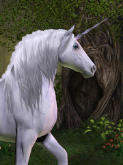Unicorn Horse © Catmando