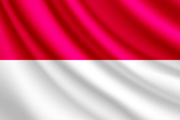 Waving flag of Monaco, vector