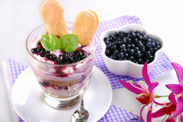 blueberry tiramisu dessert in glass