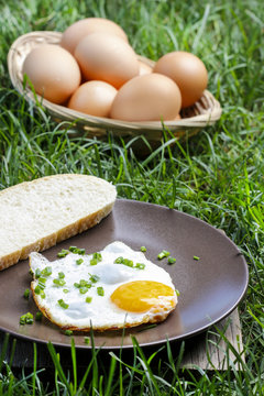 Breakfast on the grass. Fried egg on brown plate