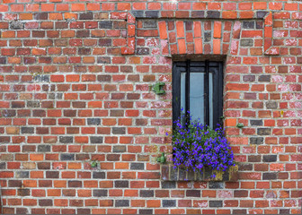 Window with flowers on old brick wall